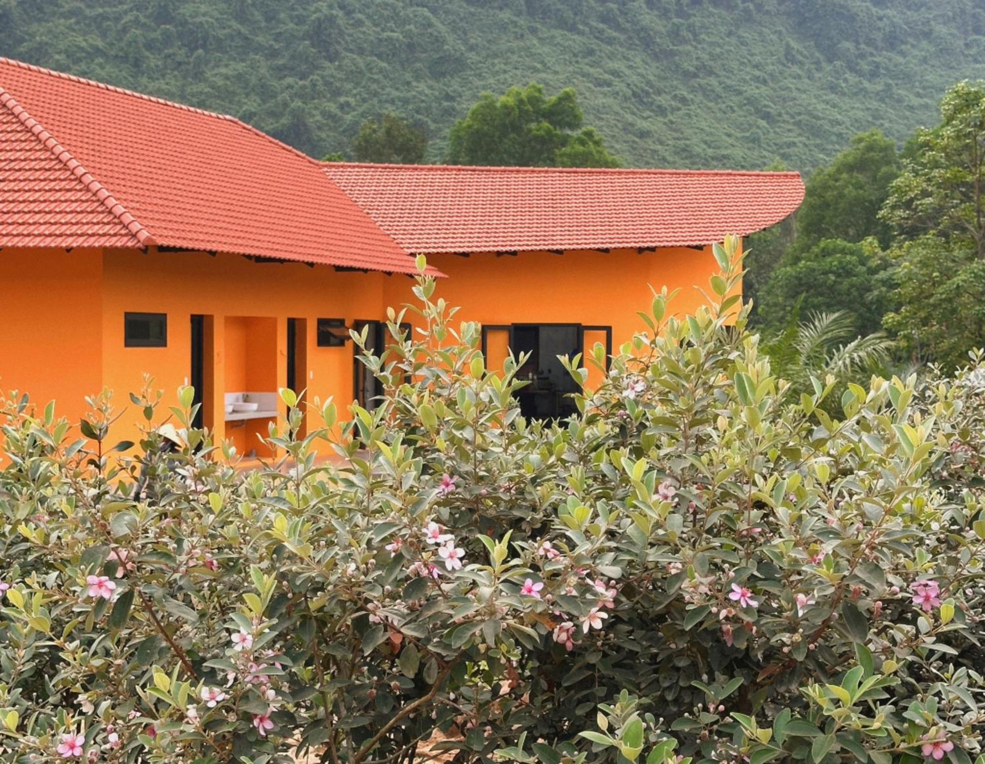 Phong Nha Eco Village Exterior photo