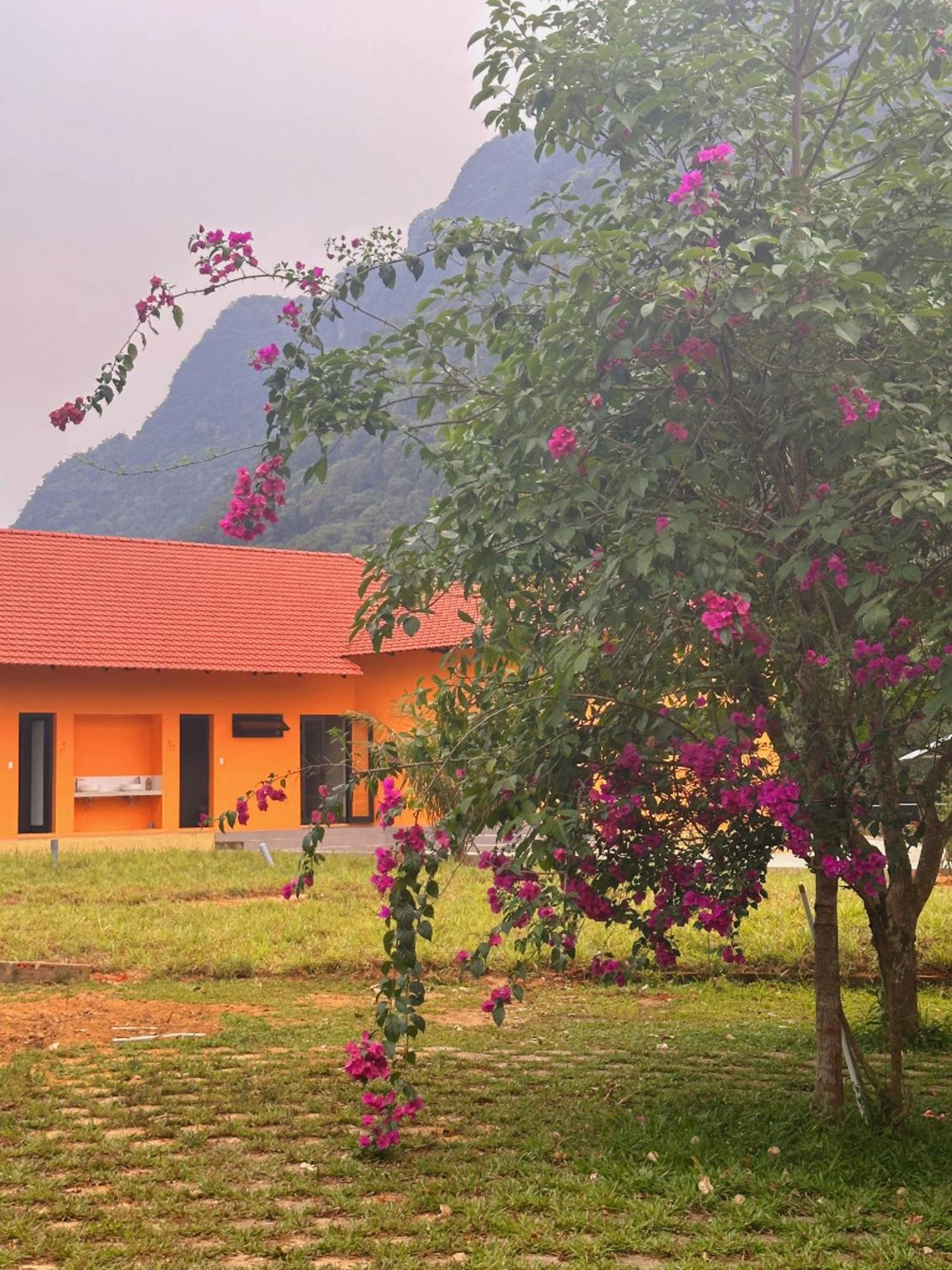 Phong Nha Eco Village Exterior photo