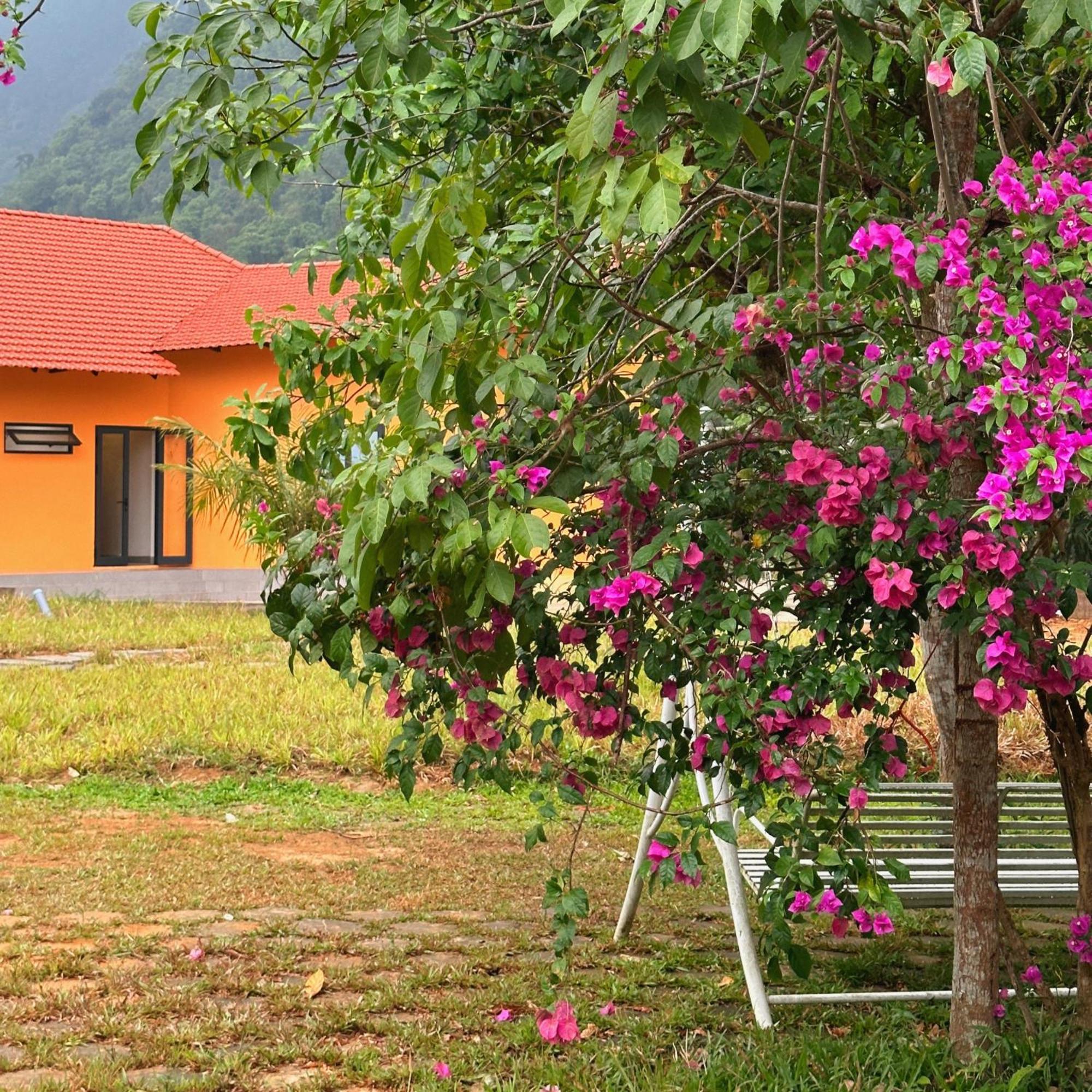 Phong Nha Eco Village Exterior photo